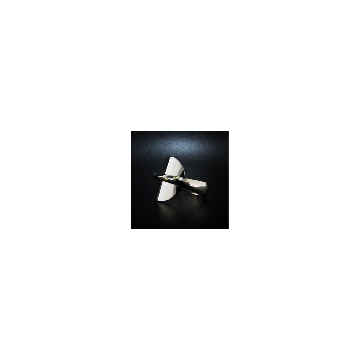 Round Polished Ring