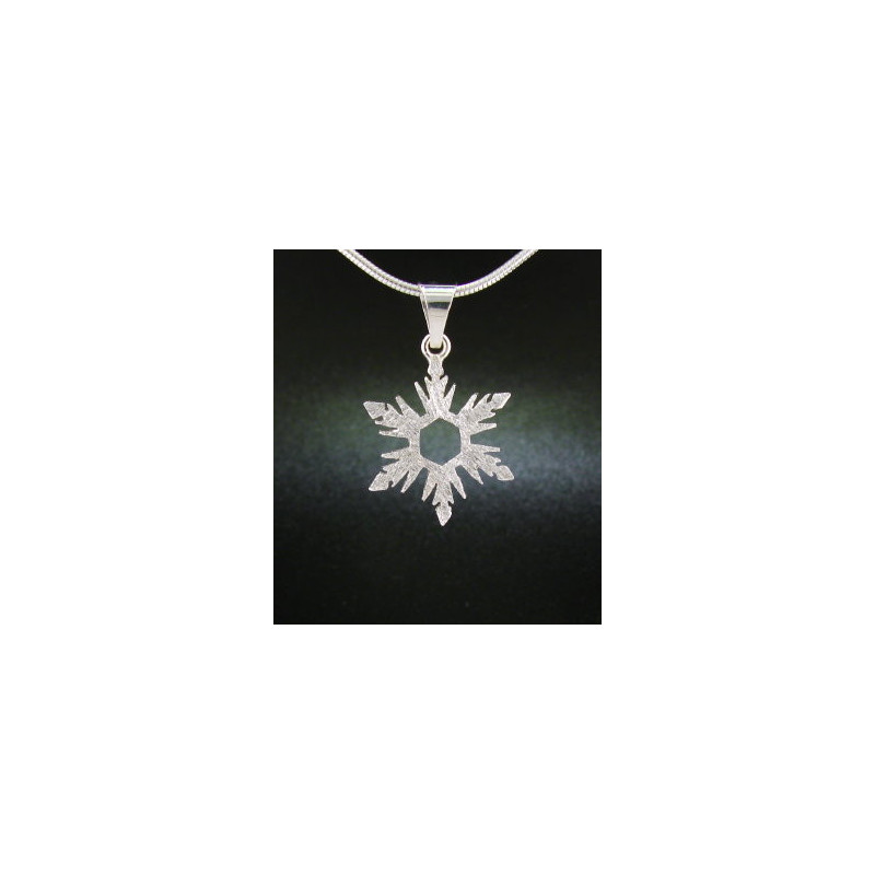 F135 - Small Snowflake Necklace