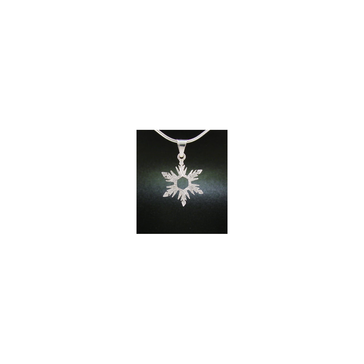 F135 - Small Snowflake Necklace