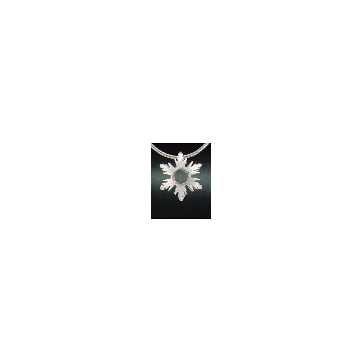 F135 - Small Puffed Snowflake Necklace
