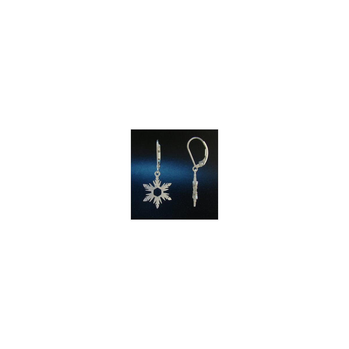 F135 - Small Snowflake Earrings