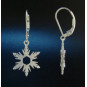 F135 - Small Snowflake Earrings