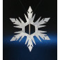 F135 - Large Snowflake Pin