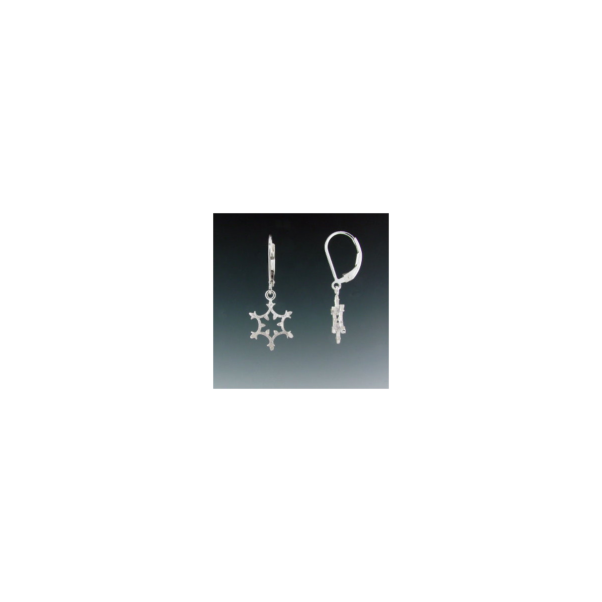 F137 - Small Snowflake Flat Earrings