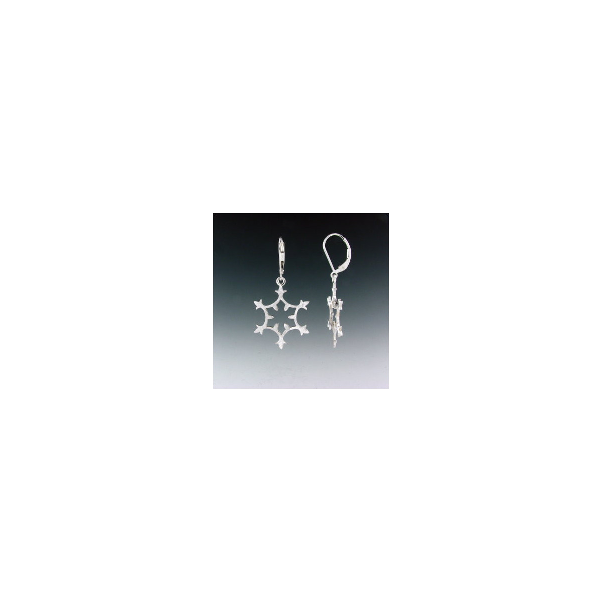 F137 - Medium Snowflake Earrings