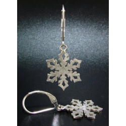 F130 - Small Snowflake Earrings